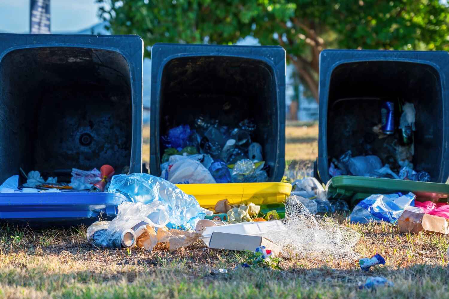 Best Local Junk Hauling  in Sherwood, AR